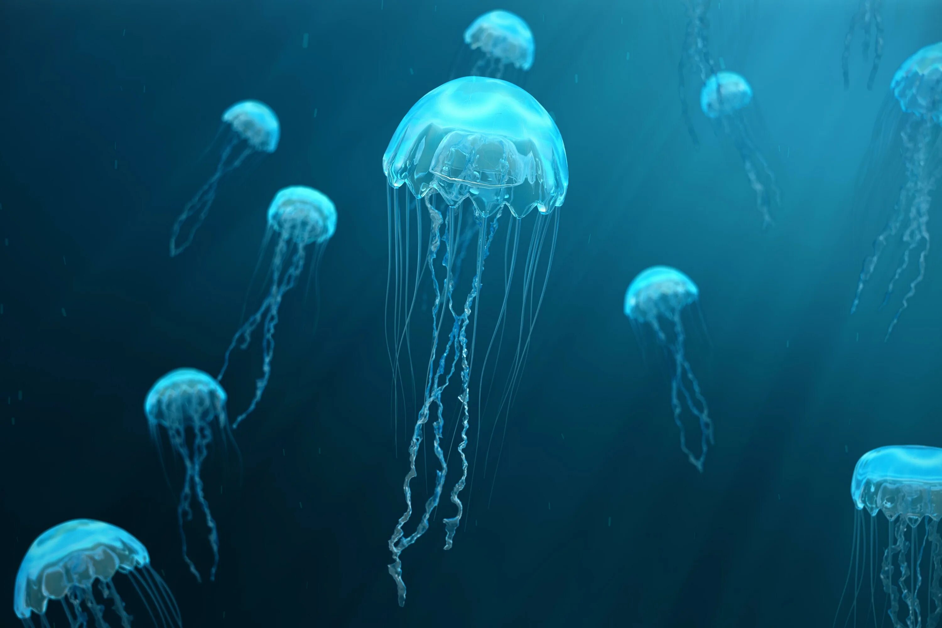 Медуза в воде фото Jellyfish Robots Could One Day Clean Up The World’s Oceans
