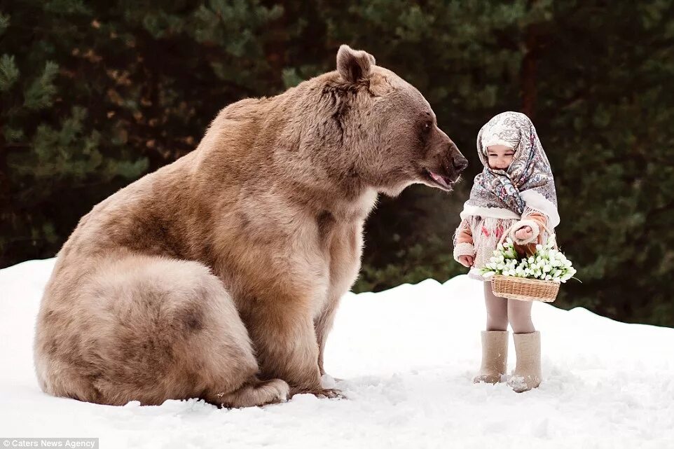 Медведь 2 года фото Youngsters pose with grizzly bear in the forest in Moscow Daily Mail Online