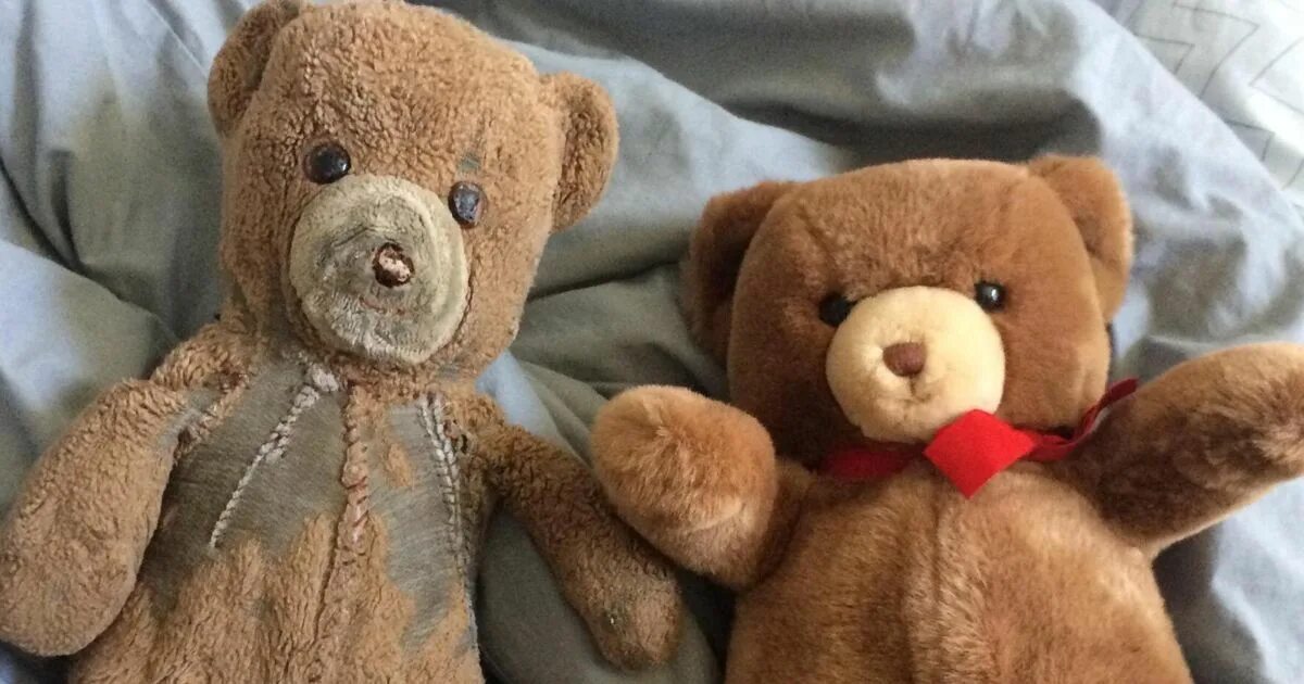 Медведь 2 года фото Two Teddy Bears Purchased 30 Years Ago Show The Difference Years Of Love Makes H