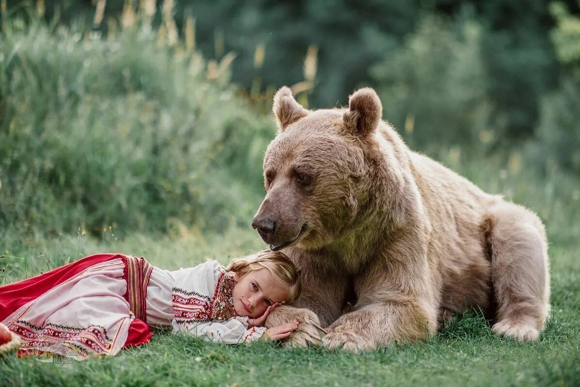 Медведь 3 лет фото Медведи - Эко Энергия