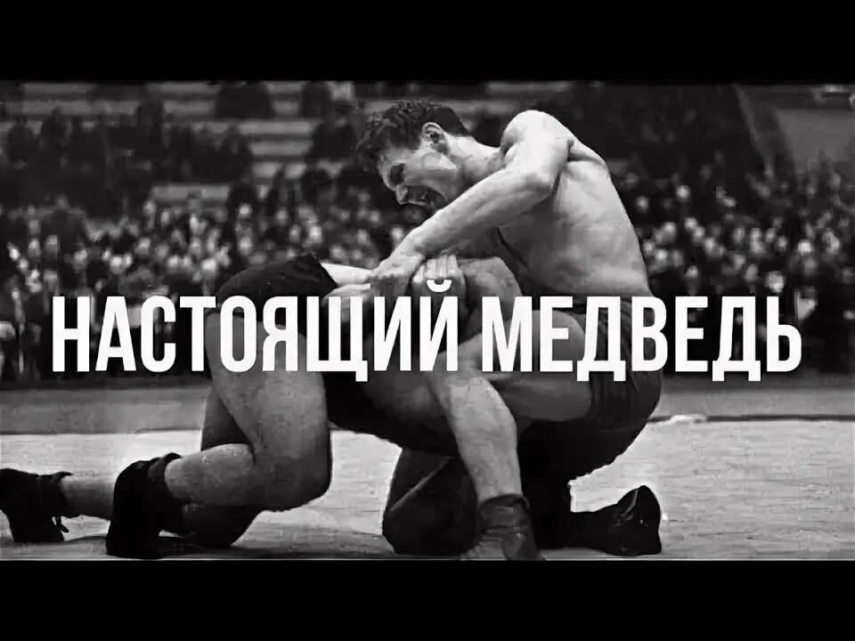 Медведь борец фото ТРЕХКРАТНЫЙ ОЛИМПИЙСКИЙ ЧЕМПИОН! Александру Медведю - 85! Наш Геракл - YouTube