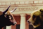 Медведь бык носовихинское ш 14а фото Биржевой бык