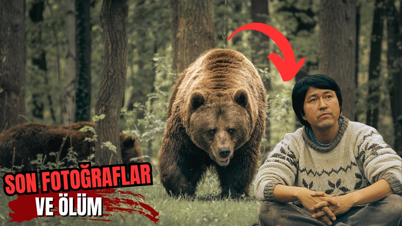 Медведь д павлино 69 фото Michio Hoshino Ayı Tarafından Parçalanmadan Önce Son Fotoğraflarını Çektiğini Bi