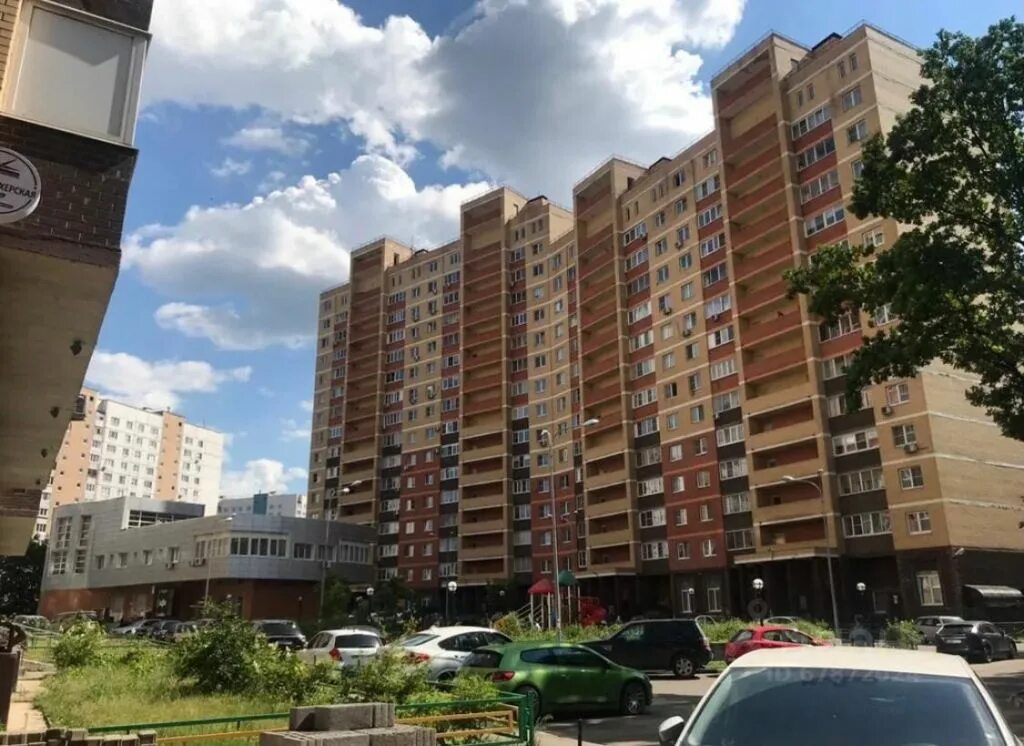 Медведь д павлино 69 фото Аренда квартир и комнат от собственников 279 объявлений