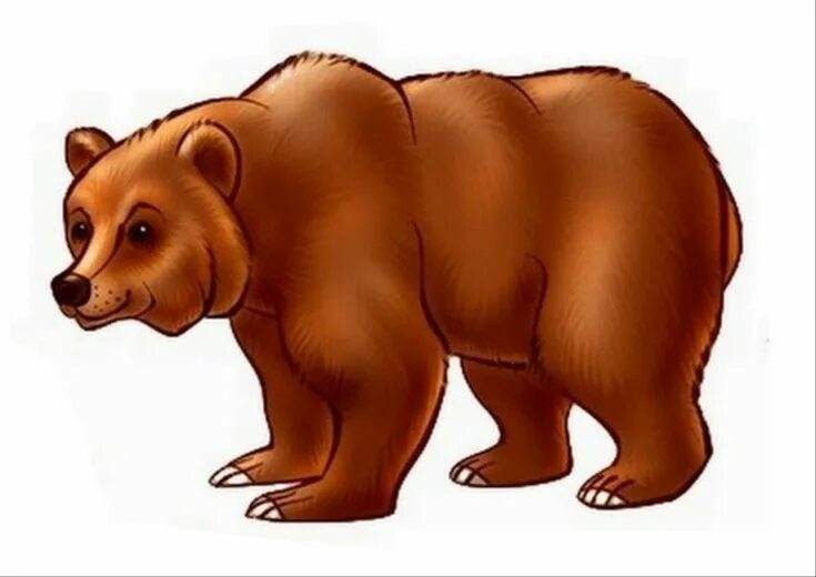 Медведь детский фото Картинки медведь для детей- распечатать (47 шт.) Домашние птицы, Медведь, Белый 