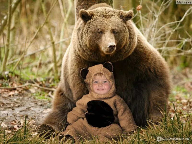 Медведь фото для детей Adobe Photoshop - "суперские фотки своими руками!!!!!" отзывы