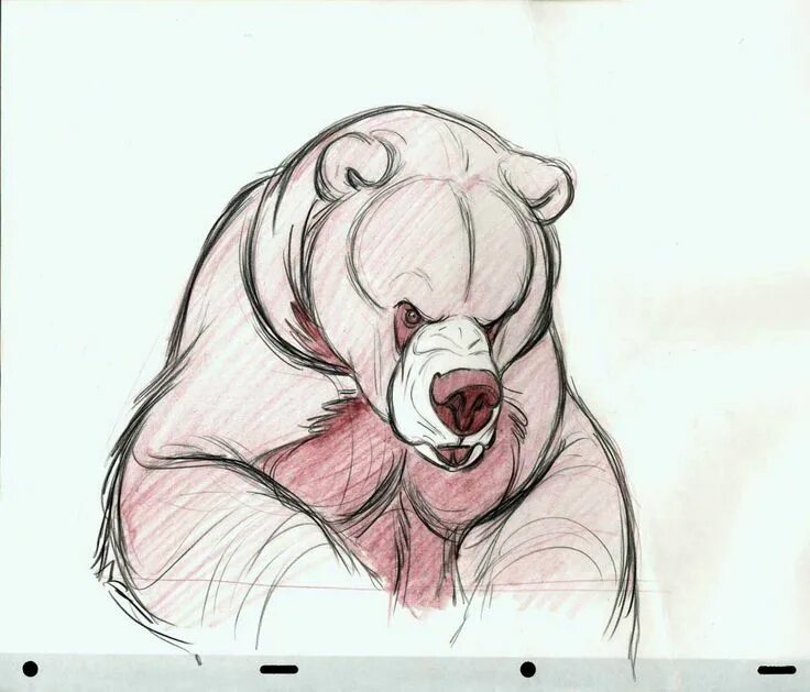 Медведь фото для срисовки Flipbooks and Stuff in 2024 Bear art, Brother bear art, Furry art