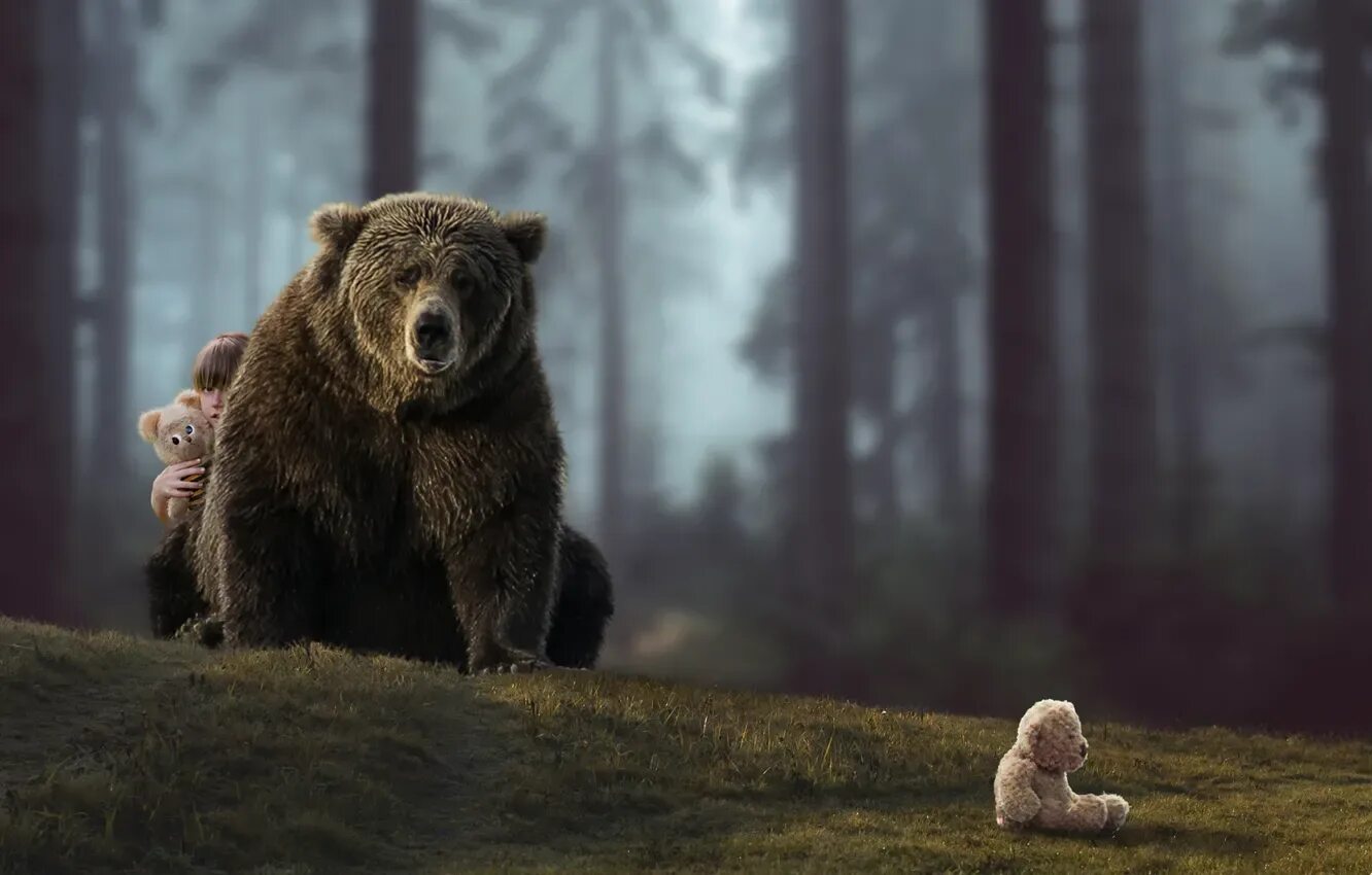 Медведь фото картинки красивые Wallpaper the situation, bear, girl for mobile and desktop, section ситуации, re