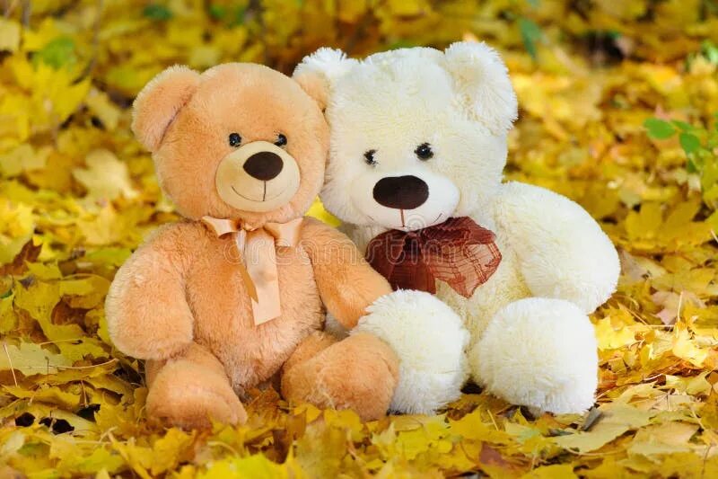 Медведь и осень фото Two Teddy Bears Sitting in the Autumn Leaves Stock Photo - Image of cute, little