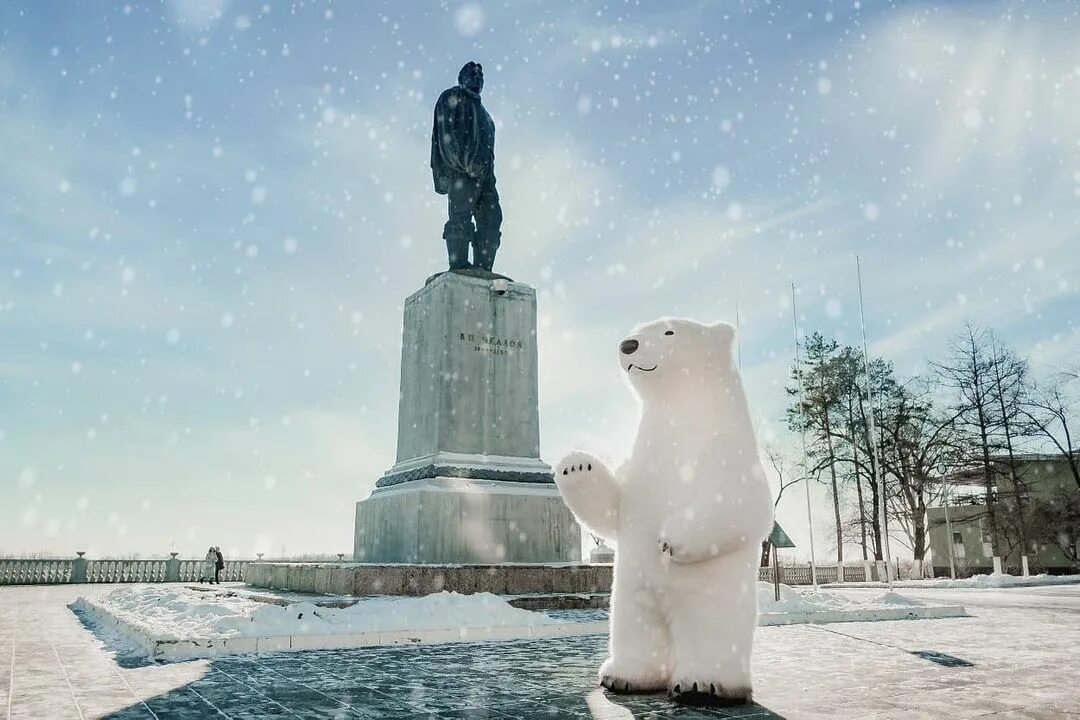 Медведь илекское ш 6 оренбург фото В Оренбурге медведи по улицам ходят... Подслушано Оренбург