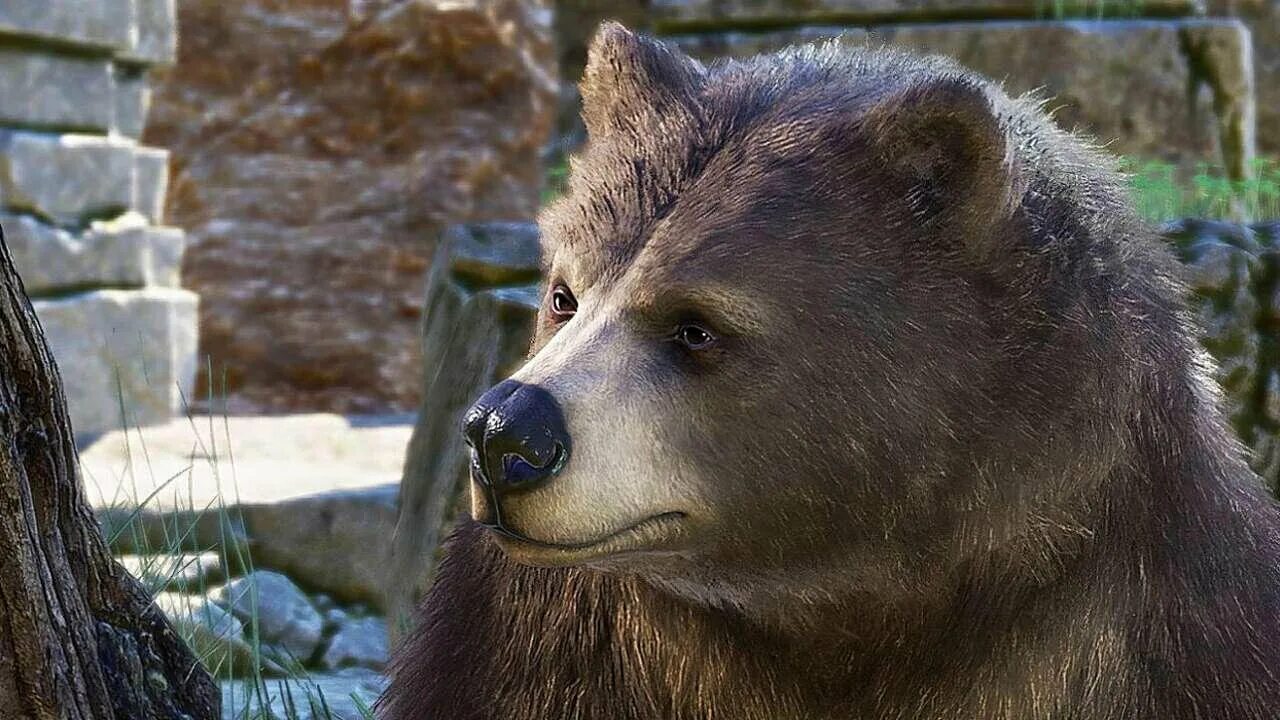 Медведь крепостная ул 6 фото Желаю найти своего медведя!": самые забавные рецензии на Baldur's Gate 3 VK Play