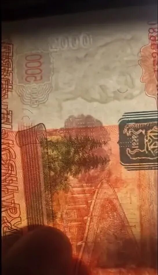 Медведь на 5000 купюре фото Как отличить настоящую купюру 5000