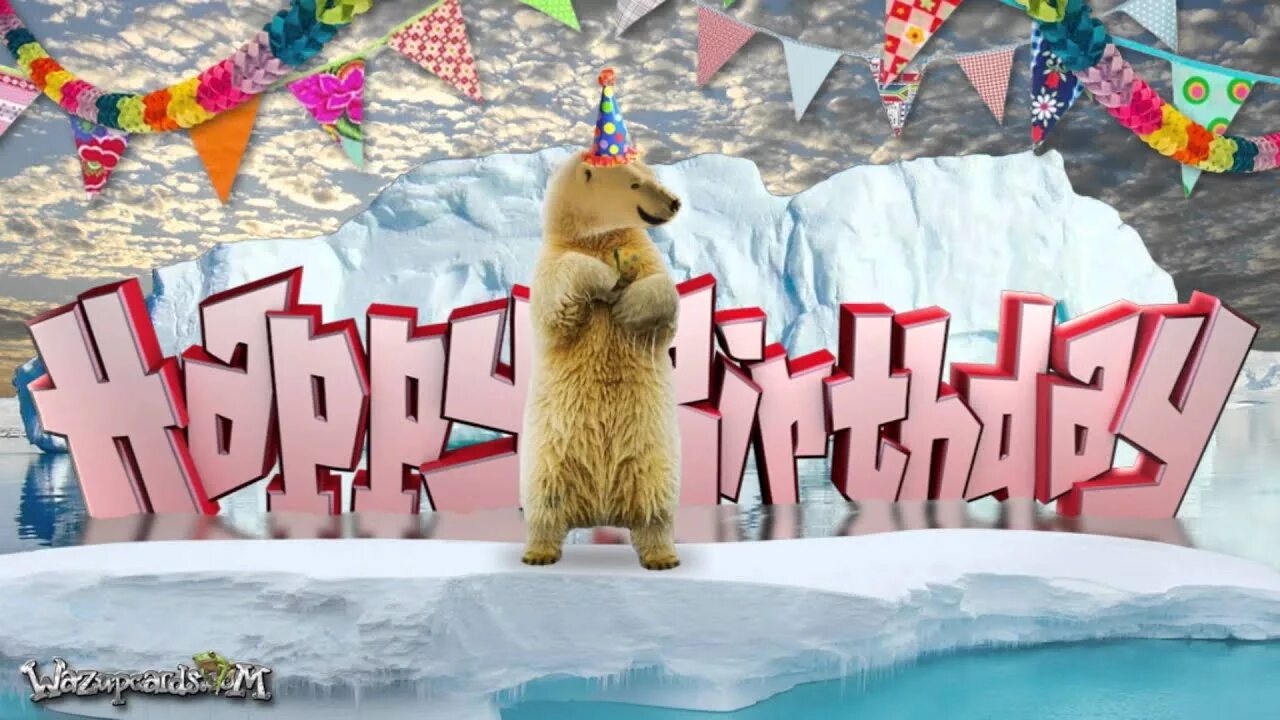 Медведь на день рождения фото Happy Birthday - Polar Bear and Friends - YouTube
