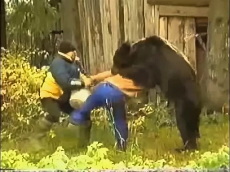 Медведь напал на человека фото woman attacked by bear/femeie atacata de urs - YouTube