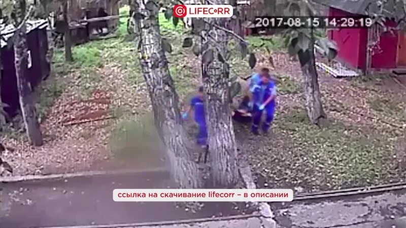 Медведь откусил женщине руку фото Прикиньте, у нас в Шелехове медведь откусил руку пьяному мужику!!! Прямо по плеч