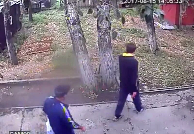 Медведь откусил женщине руку фото Медведь откусил руку пьяному посетителю кафе - ВИДЕО