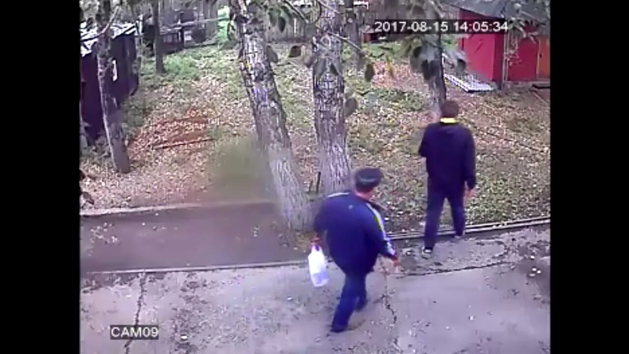 Медведь откусил женщине руку фото Медведи оторвали руку посетителю шелеховского кафе(видео) :: ВЫ ОЧЕВИДЕЦ