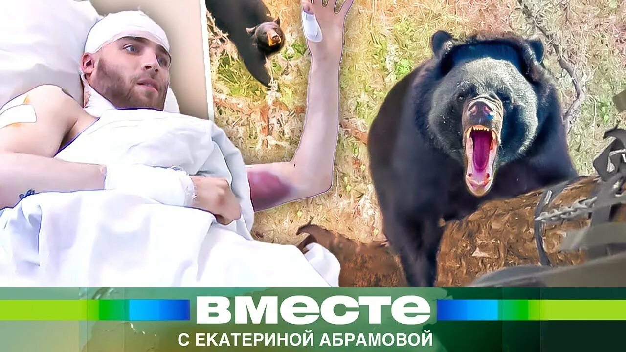 Медведь откусил женщине руку фото Он выгрызал мою шею": истории выживших после встречи с медведем. Как спастись? -