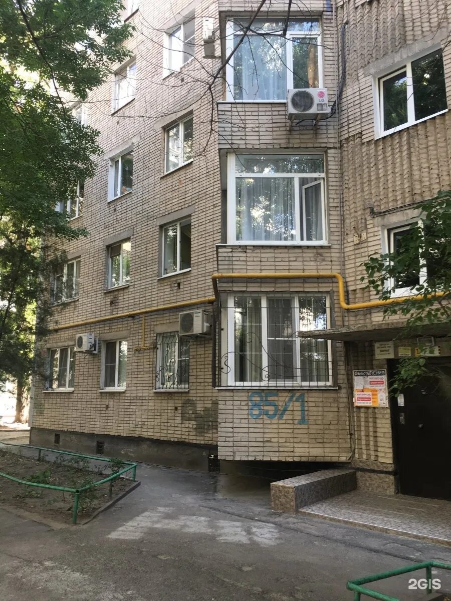 Медведь просп соколова 85 2 фото Ростов проспект соколова 84 302