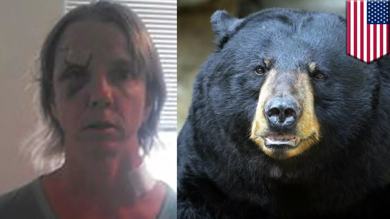Медведь растерзал человека фото BLACK BEARS love WHITE MEAT! - YouTube