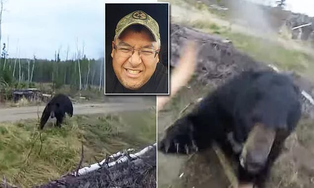 Медведь растерзал фото Video shows man in Canada attacked by a bear