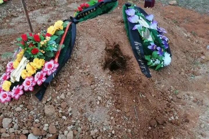 Медведь разрыл могилу на кладбище фото Очевидцы: медведь раскопал могилу на кладбище на Сахалине - МК Сахалин