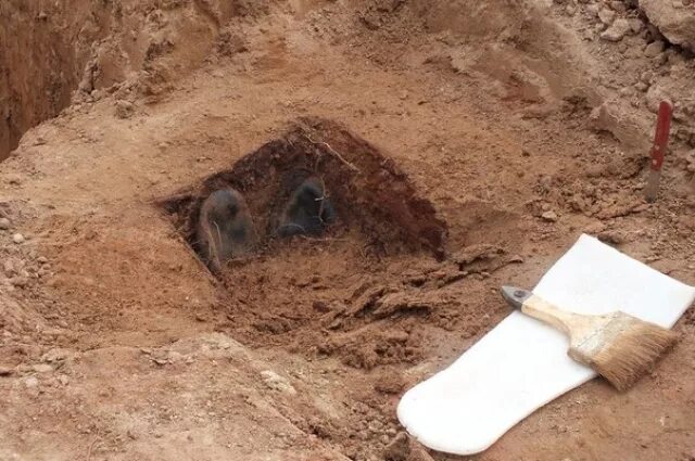 Медведь разрыл могилу на кладбище фото Взглянуть на древность. Как не допустить вымывания культуры из нашей памяти АиФ 