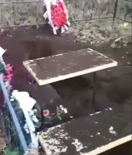 Медведь разрыл могилу на кладбище фото Жителей Башкирии пугают медведем-трупоедом. Рассказываем, откуда он взялся