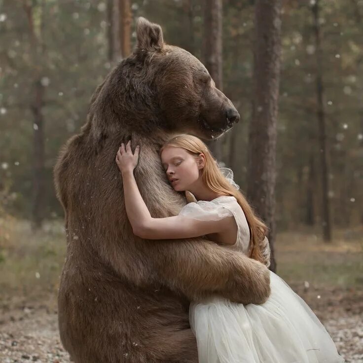 Медведь рядом с человеком фото Katerina Plotnikova фото VK Animals beautiful, Animals friendship, Bear pictures