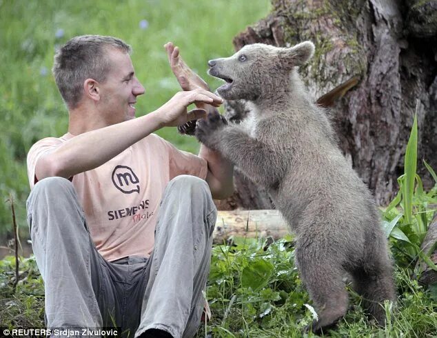 Медведь рядом с человеком фото Bear cub Medo walked into family's garden in Slovenia and refused to leave