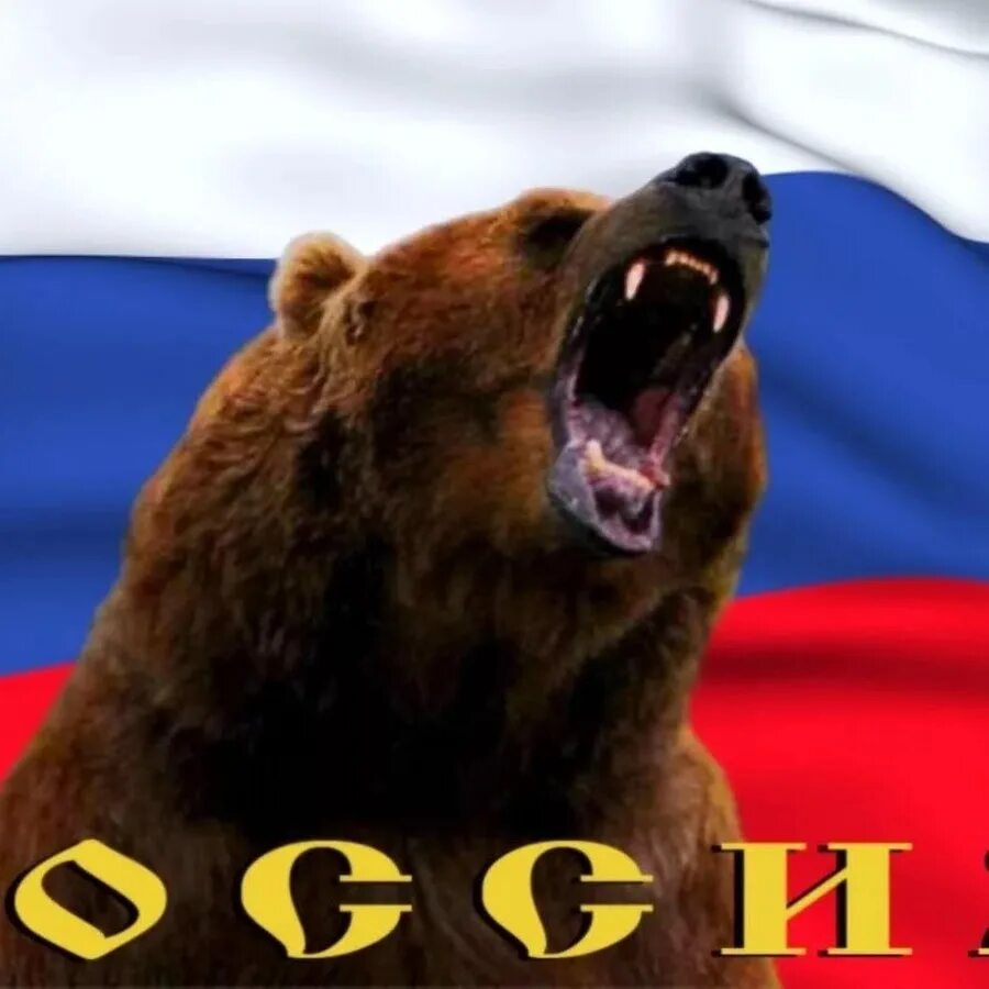 Медведь символ россии фото Правда мира! - YouTube