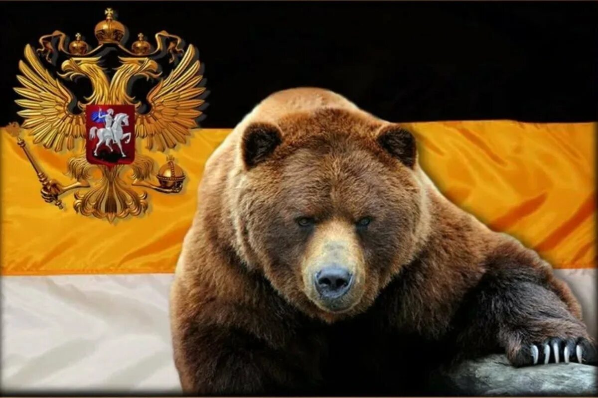Медведь символ россии фото Зачем России быть медведем?: deda14 - ЖЖ