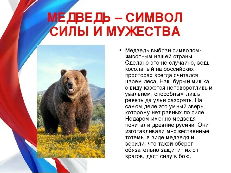 Медведь символ россии фото День Медведя " Хуторская сельская библиотека-филиал № 7