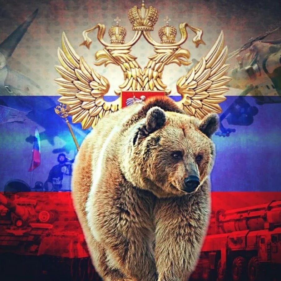 Медведь символ россии фото Interesting about RUSSIA - YouTube