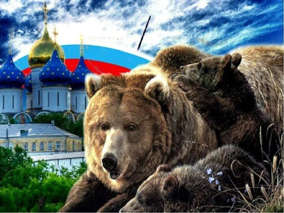 Медведь символ россии фото АГРЕССИВНАЯ АМЕРИКА - стихотворение поэта