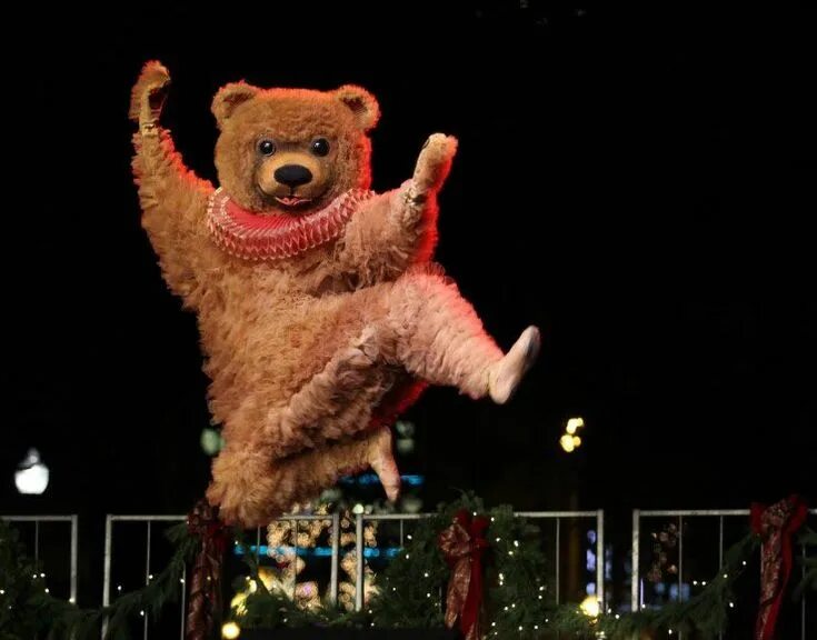 Медведь танцует фото Cool costumes, Bear party, Animals