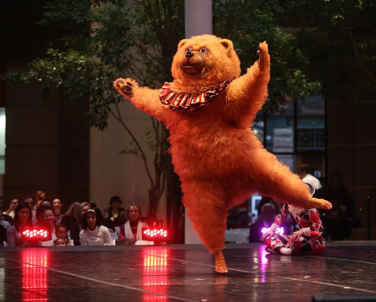 Медведь танцует фото See Free Nutcracker Performances at International Place