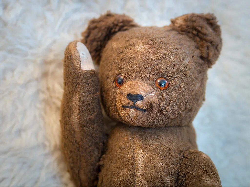 Медведь тедди фото Old companion This bear has been with me since my first bi. Flickr