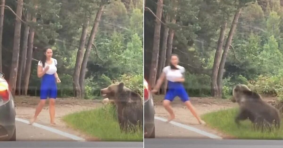Медведь убил человека фото Медведь не стал нападать на любительницу фотографироваться, но границы обозначил