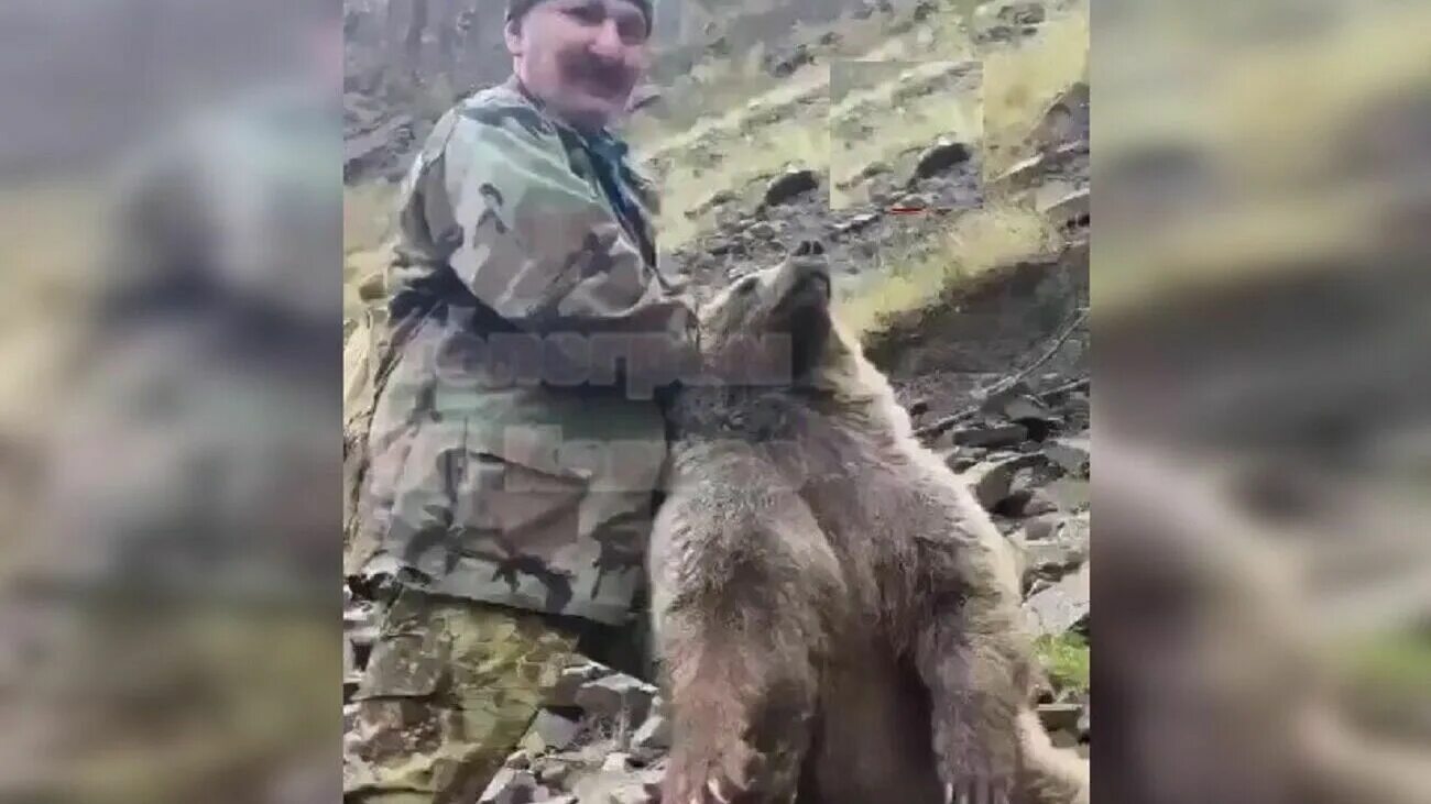 Медведь убил двух мужчин фото Медведь на Урале убил хозяина, разорвал тело и сбежал в лес