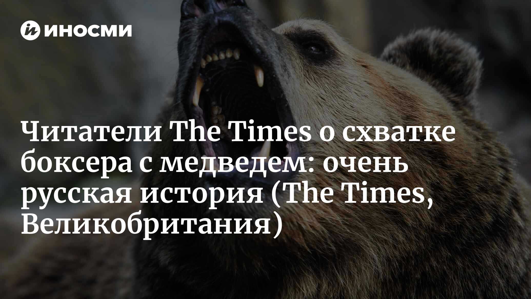 Медведь убил сына и отца телеграмм фото The Sunday Times (Великобритания): российский боксер Илья Медведев убил медведя,
