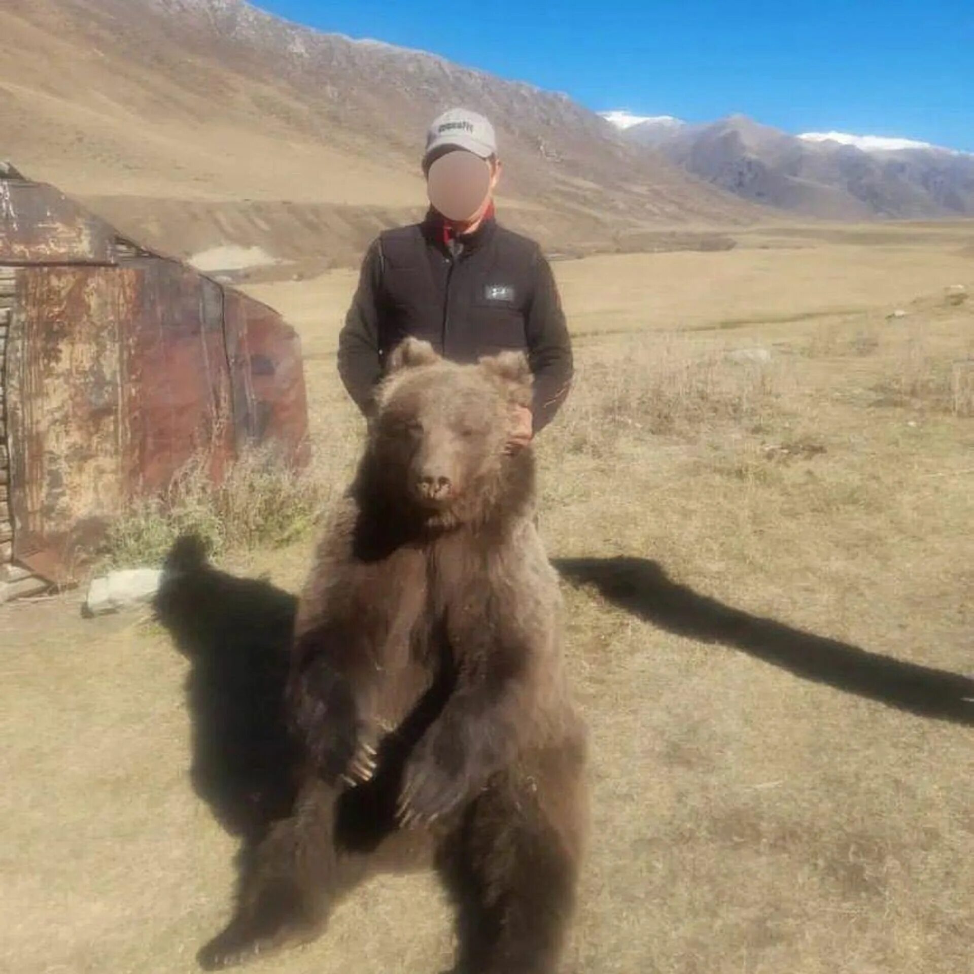 Медведь убил сына и отца телеграмм фото Полиция Жетысу нашла мужчину, сфотографировавшегося с мертвым медведем - 07.12.2