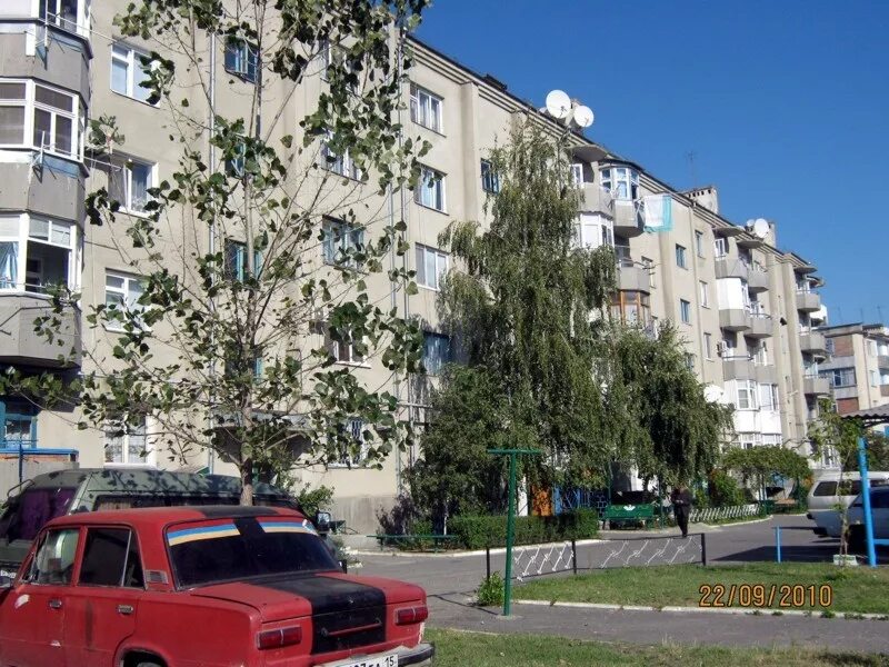 Медведь ул богдана хмельницкого 34 фото Б.Хмельницкого 34