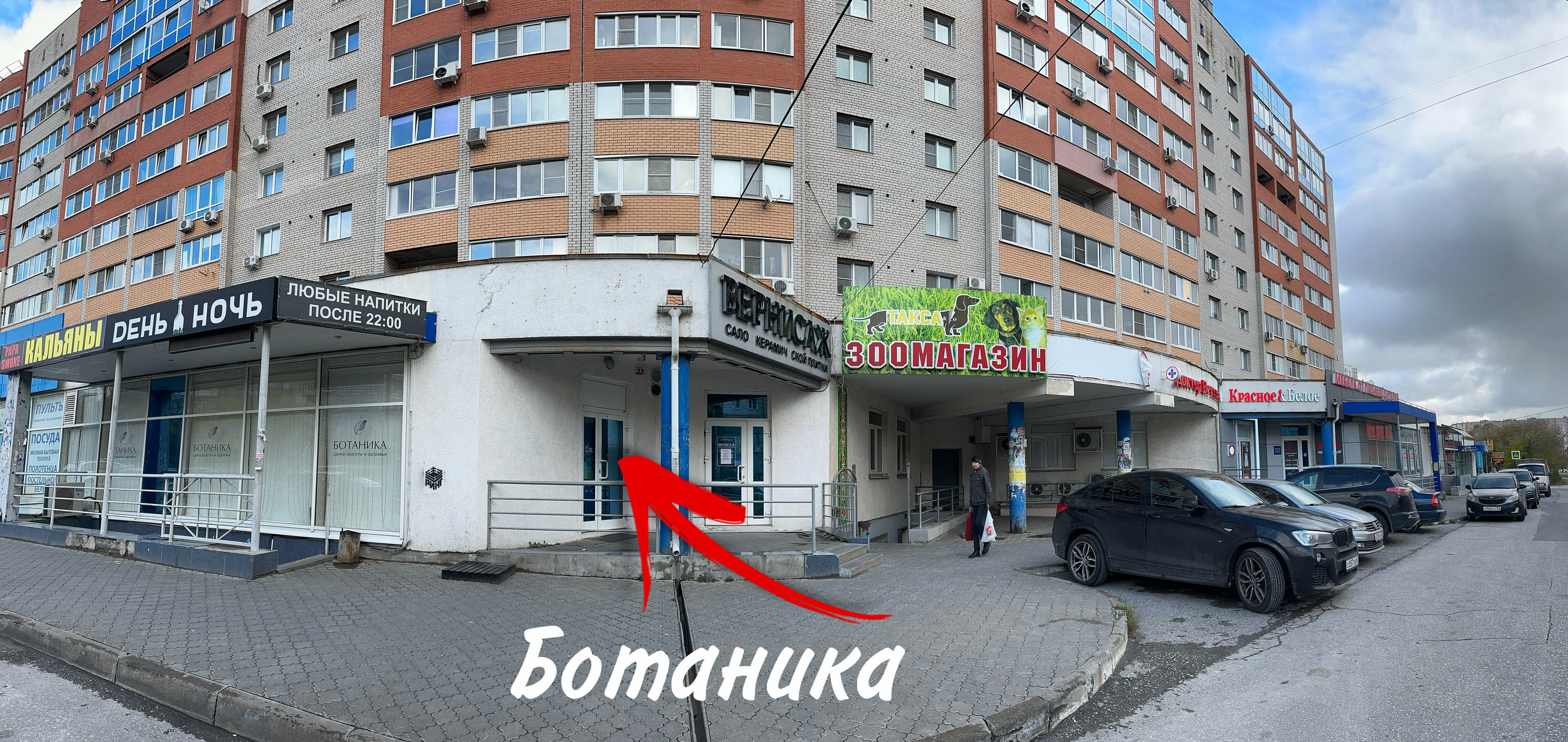 Медведь ул новоселов 37 корп 1 фото Ботаника, косметология, ул. Новосёлов, 37, Рязань - Яндекс Карты