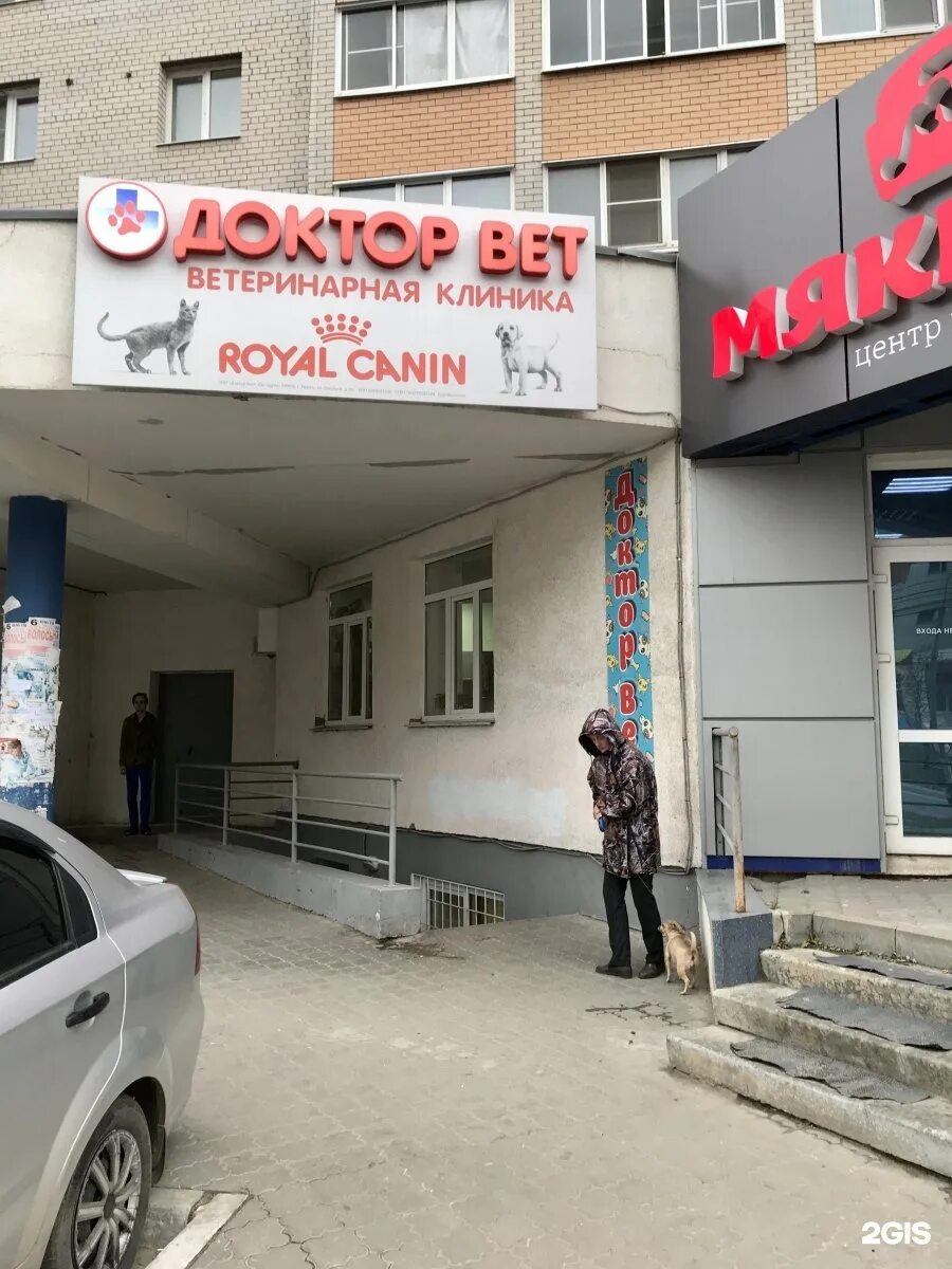 Медведь ул новоселов 37 корп 1 фото Доктор Вет, ветеринарный центр Рязань, Новосёлов, 37 - телефон, адрес, контакты,