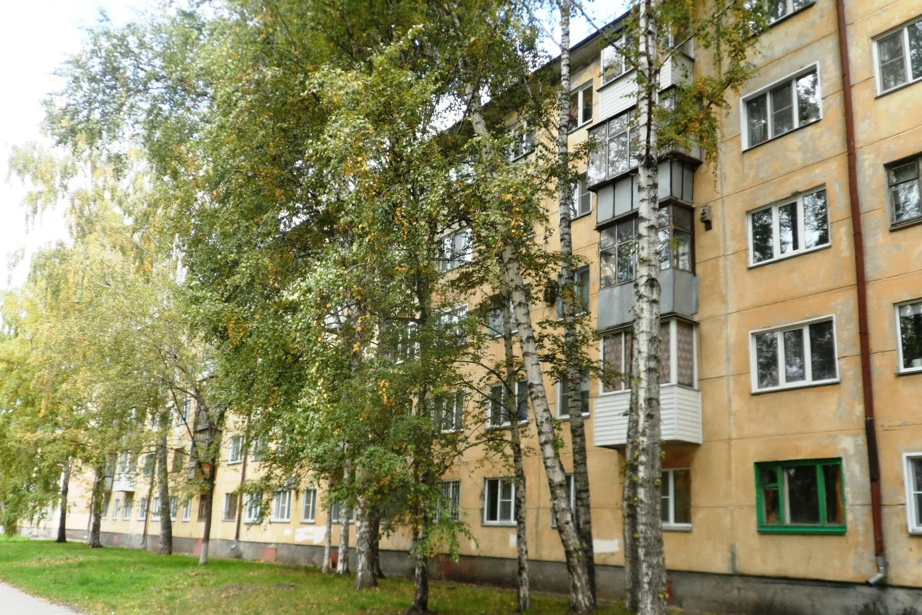 Медведь ул зорге 58а 8 фото Город зорге