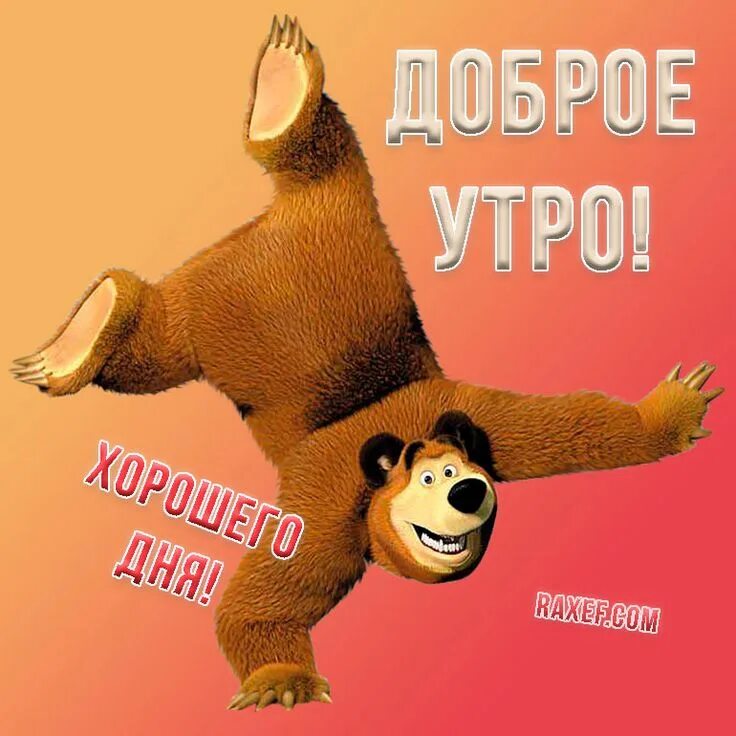 Медведь утром картинки прикольные Поздравления с ежедневными событиями Открытки, Доброе утро, Медведь