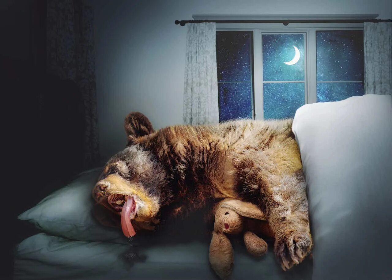 Медведь утром картинки прикольные Alibaba: Go Hibernate Now, Bears - China Reopening Is Already Upon Us (NYSE:BABA