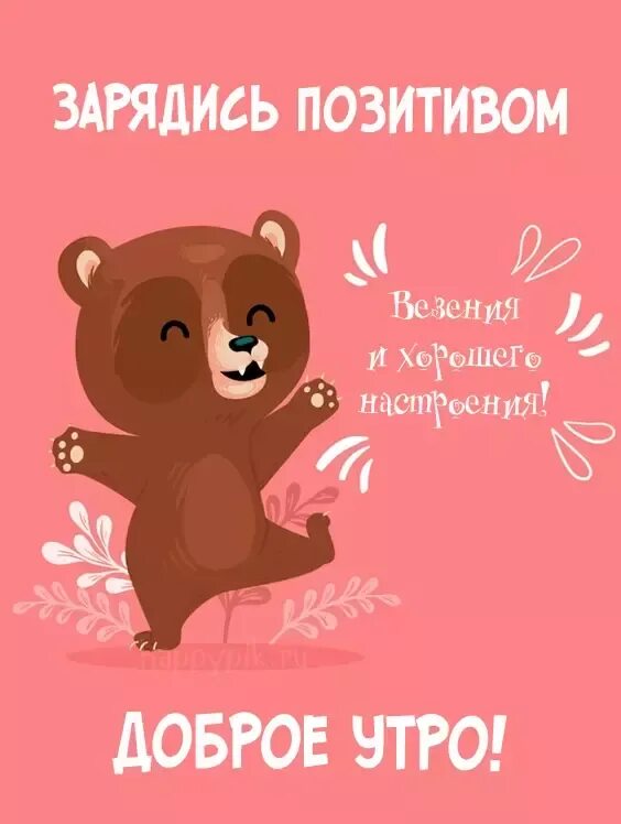 Медведь утром картинки прикольные Пин от пользователя Тетяна на доске Доброе утро Доброе утро, Смешно, Открытки дл