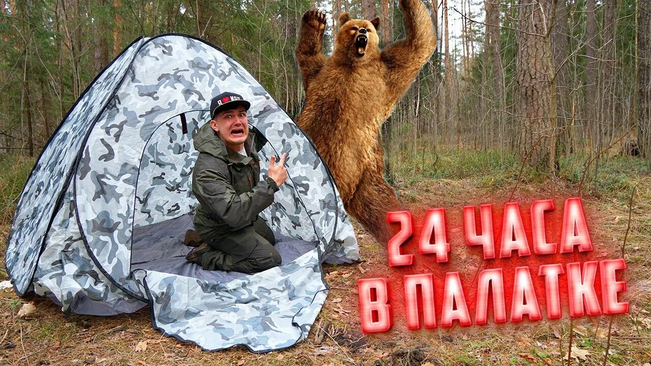 Медведь в палатке последнее фото 24 часа в палатке в лесу. На нас напал медведь! - YouTube